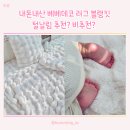 털뭉탱이 | 베베데코 밍크라떼 몽글퍼 러그 블랭킷 털빠짐 솔직리뷰