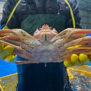 알찬대게 이미지