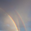 의사당대로 이미지