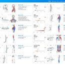 오늘필라테스백운점 이미지