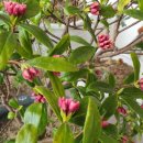 천리향한의원 이미지