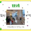 로로살롱 이미지