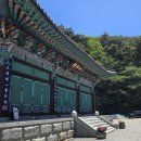 [충남 천안] 청동대불의 미소☆각원사☆방문후기