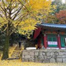 CU영암덕진로드점 | 바위가 꽃이고 숲이더라... 바라만 봐도 좋은 산 굳이 오른 이유