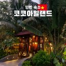 코코당구장 | 닌빈 여행 갓성비 숙소 추천, 코코아일랜드 수영장 조식 솔직후기