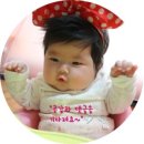 해강목장 | D+288 해강이 만난지 288일째