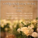 예정파티앤플라워 네이버블로그