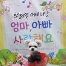 뽀송이네