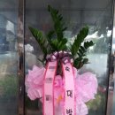 OK식물원 이미지