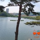 더(The)라온 이미지