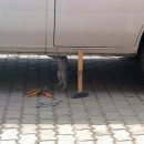 대한카센터 이미지