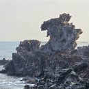 용두암 | 제주공항 근처 용두암 방문후기, 용머리 기암괴석 전설과 필수 관광 포인트