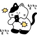 제이엠드레스 이미지