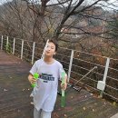 히든밸리펜션 | 자연 속 힐링! 덕동히든밸리캠프펜션에서의 특별한 순간들