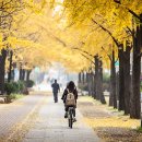 용산구 시민건강관리센터 이미지