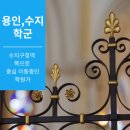 수지114 이미지