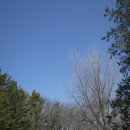 숲속의아침2 이미지