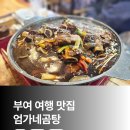 엄가네곰탕 이미지