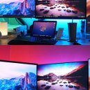 라인피시방 이미지