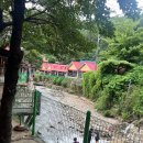 초가마을 | 양주 초가마을 솔직 후기: 반려견과 함께 닭백숙, 닭볶음탕 먹고 온 이야기 🐶