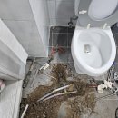 연일로 | 포항누수 걱정 끝! 20년 경력의 포항누수탐지 전문업체 ‘한설비누수’ 실제 후기