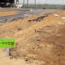남촌동 주말농장