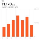 내돈내산 무너진 아치살리기 프로젝트 :아치파인 효과 있을까?