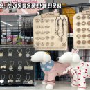 펫마트서울