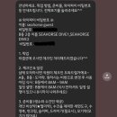 씨홀스 네이버블로그