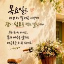 힐링 행복열차 출발~399 이미지