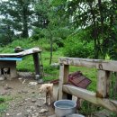 가을이네민박 이미지