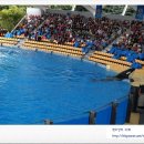 범고래PC 이미지