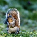 포항시남구37 이미지