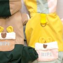 아지다펫 이미지