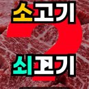 소고기 & 쇠고기 차이는? 이미지