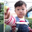 이동국농장 이미지