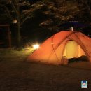 유니펜션 이미지