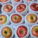 햇터농장 이미지