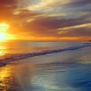 아름다운세상 이미지