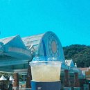 역전할머니맥주조선대점 이미지