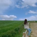 백수목장 이미지