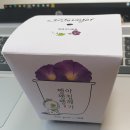 반려식물키우기 이미지