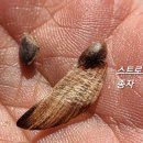 보배 어린이공원 이미지