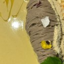 초당찹쌀순대