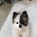 스튜디오하나서다 이미지