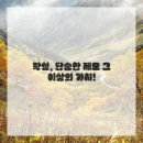 최애뷰티 네이버블로그