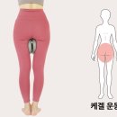편이로움