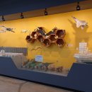 꿀벌랜드 이미지