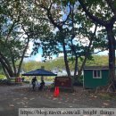 블랙비치 | Maui)｜ 와이아나파나가 주립공원(Wai ʻānapanapa State Park) 예약 방법, 블랙 샌드 비치 방문 후기