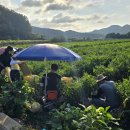 입암면사무소 이미지